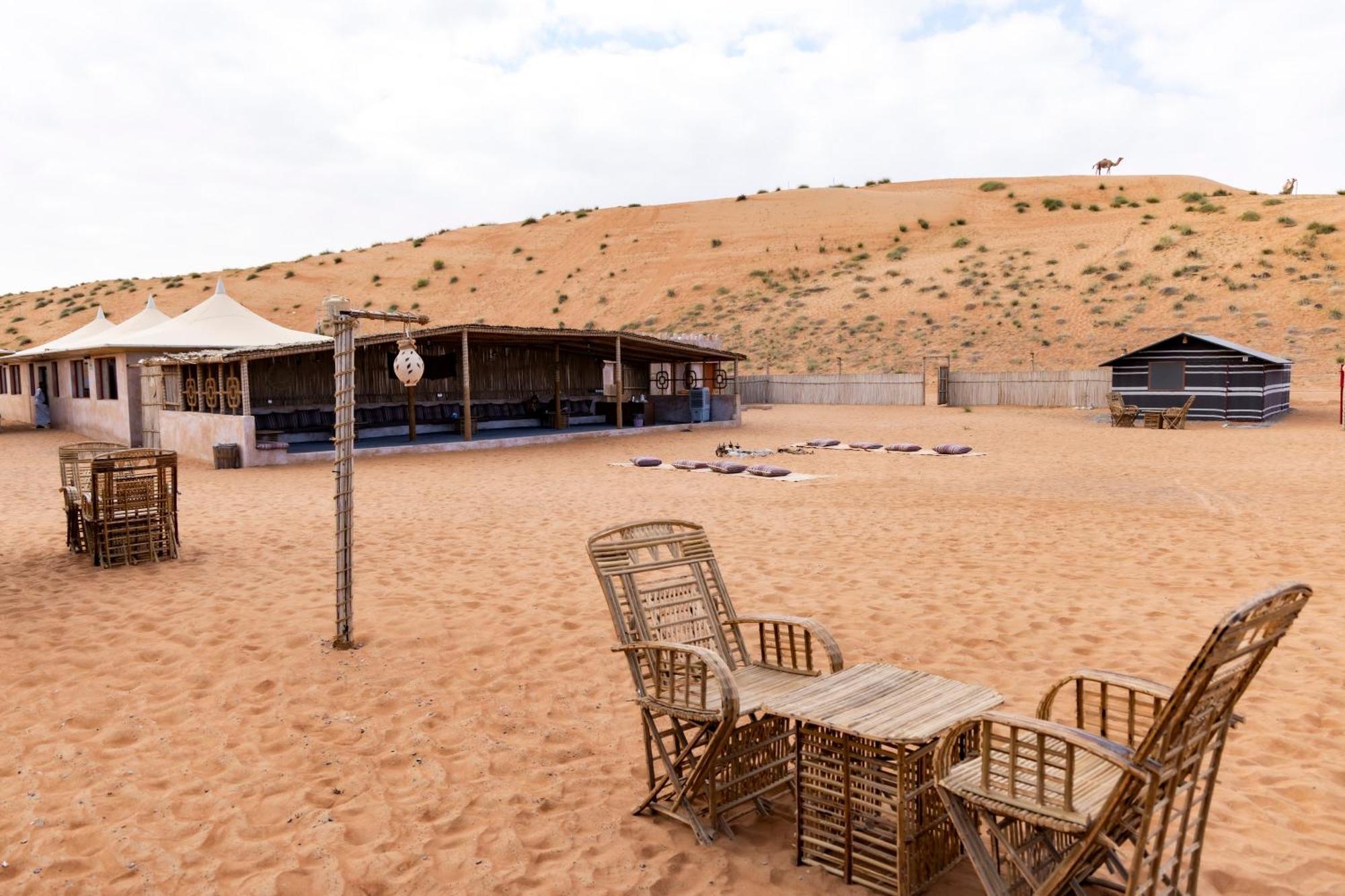 Delight Camp Al Wāşil